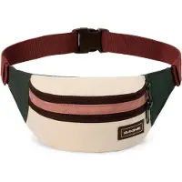 Dakine Classic T2-r Vyölaukku