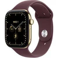Apple Watch Series 12 46mm LTE (radiant gull titanium/burgundy sport band) M/L