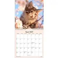 Mayland Vægkalender mini Kattekillinger 2027