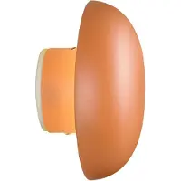 RL LIVE YOUR LIGHT Davey LED seinävalaisin 1,5W 3000K 15cm aprikoosi ladattava