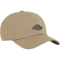 Dickies Essential Dad Lippis