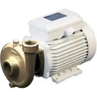 Osculati 2800rpm 40l/min Keskipakoispumppu 1.2a 230v 150w