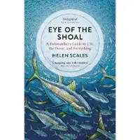 Eye of the Shoal