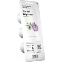Click and Grow Smart Garden Sweet Alyssum aloituspakkaus 3 kappaletta