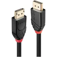 Lindy DisplayPort 1.2 active bidirectional cable, 4K 60 Hz, 10 m, black 41078