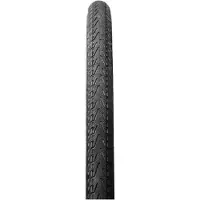 Panaracer Pasela Protite 700c X 25 Urbanreifen