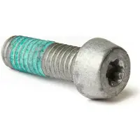 Magura Is Alumini T25 M6x18 Screws 10 Units Hopeinen