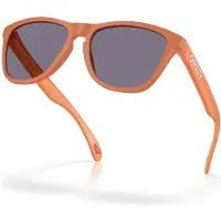Oakley Frogskins - Prizm Grey OO9013-M155