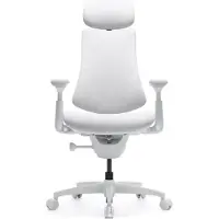Liber AB Omni Gen Dynamic ergonominen työtuoli - Jäätikönvalkoinen