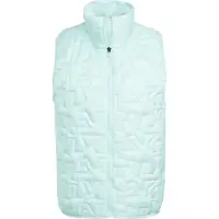 Adidas Terrex Xperior Climawarm+ Primaloft Loose Fill Hybrid Liivi