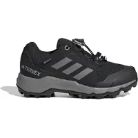 Adidas Terrex Gore-tex Vaelluskengät