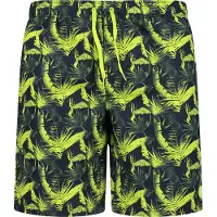 CMP 34r9087 Uimapuku Boxer