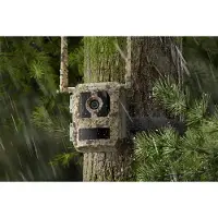 Reolink Talon Pro Camovue 4K -riistakamera
