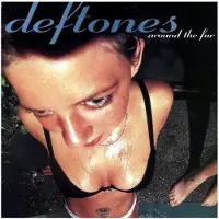 Warner Music - Around The Fur (LP)