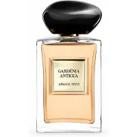 Giorgio Armani Armani Privé - Les Eaux - 100 ml