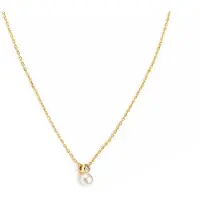 Nomination Pearls Loop kullattu helmikaulakoru 242902/044