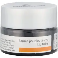 Dr. Hauschka Lip Balm Pot, 4,5g