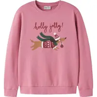 Name it Nkfvertrud Ls Nreg Sweat Bru - Pink - 122-128