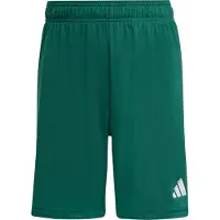 Adidas Entrada 26 Shortsit