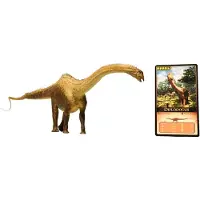 Diverse Diplodocus 1:40 Kuvio