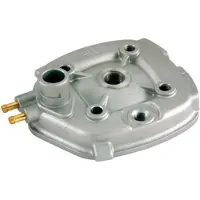 RMS Beauty Minarelli 50cc 100070052 Sylinterinkansi