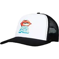 Santa Cruz Johnson Danger Zone Lips Lippis