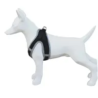 Freedog Soft Koiran Valjaat