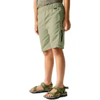 Regatta Sorcer Iii Shortsit