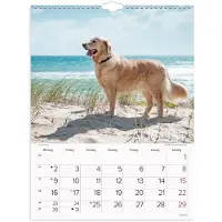 Mayland Vægkalender Hunde 2027