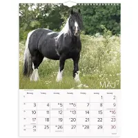 Mayland Vægkalender Heste 2027