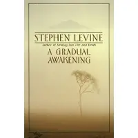 BOKUS Gradual Awakening, A