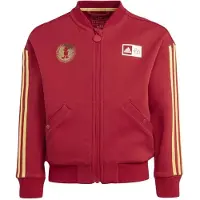 Adidas Disney 100 Takki