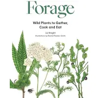 BIS Publishers Forage