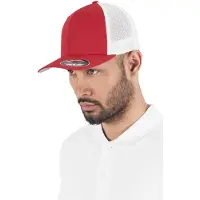 Flexfit Mesh 2-tone Lippis