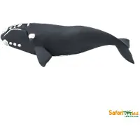 Safari Ltd Right Whale Kuvio