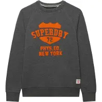 Superdry for man. M2014553A Gray Felt Applique Relaxed Sweatshirt (XL), Casual, Grey, Cotton