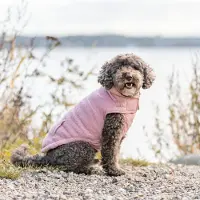 Trixie Ajou koiran talvitakki, pinkki