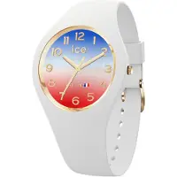 Ice Watch 23251 37mm 5atm Quartz Analogical Naisten Kello