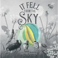 Quarto Publishing Plc It Fell From The Sky
