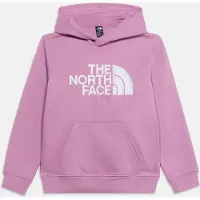 The North Face Teen Tnf Essential Drew Peak Hoodie - Purple - XS