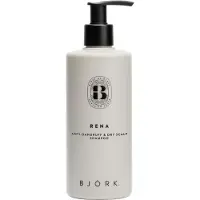 Ginza.se Rena Anti-Dandruff & Dry Scalp Shampoo, 300ml