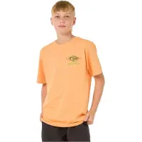Rip Curl Raw Energy Dolphin Lyhythihainen T-paita