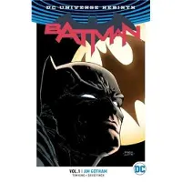 DC Comics Batman Vol. 1: I Am Gotham