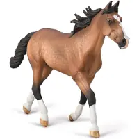 Collecta luku OGIER standardbred pacer, masci gniadej
