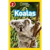 HarperCollins Koalas