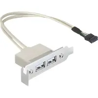 DeLOCK Sisäinen USB 2.0 -kaapeli, IDC10 uros - 2x USB 2.0 Type-A naaras, 0,5 metriä, Valkoinen