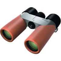 Swarovski CL Companion 10x30 Desert Orange