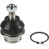 HERTH+BUSS JAKOPARTS J4981004 Pallonivel