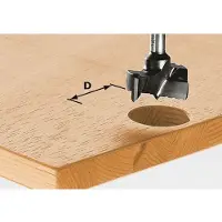 Festool Helaporanterä HW S8 D35