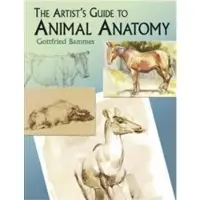 Bookoutlet The Artist's Guide to Animal Anatomy